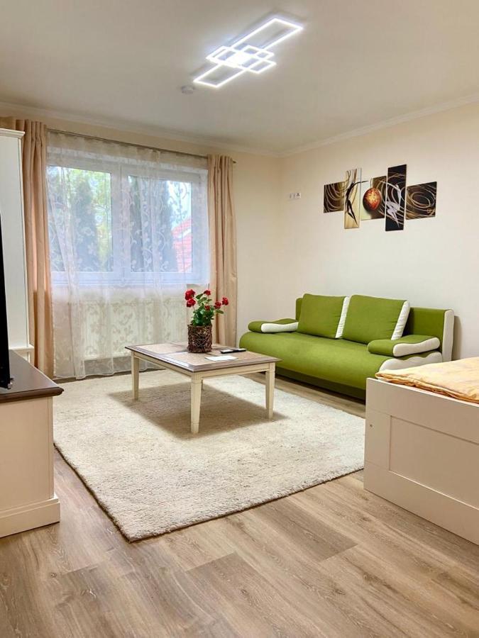 Wohnung Im Erdgeschoss Bietigheim-Bissingen Esterno foto